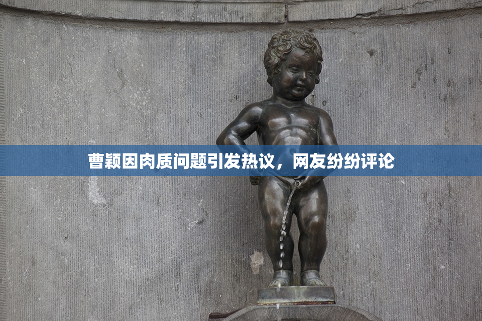 曹颖因肉质问题引发热议，网友纷纷评论