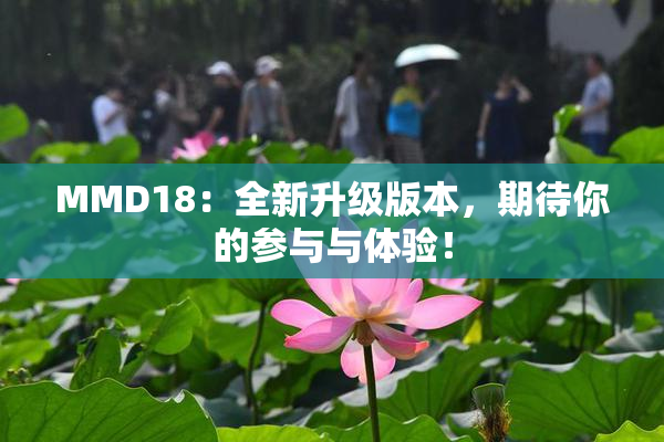 MMD18：全新升级版本，期待你的参与与体验！