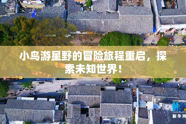 小鸟游星野的冒险旅程重启，探索未知世界！