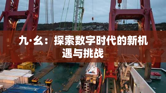 九·幺：探索数字时代的新机遇与挑战