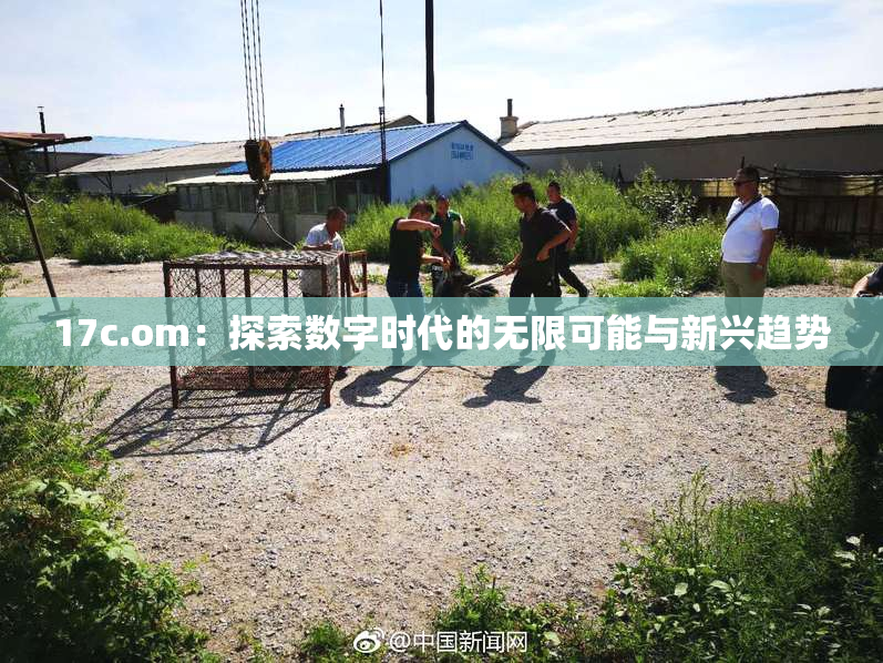 17c.om：探索数字时代的无限可能与新兴趋势
