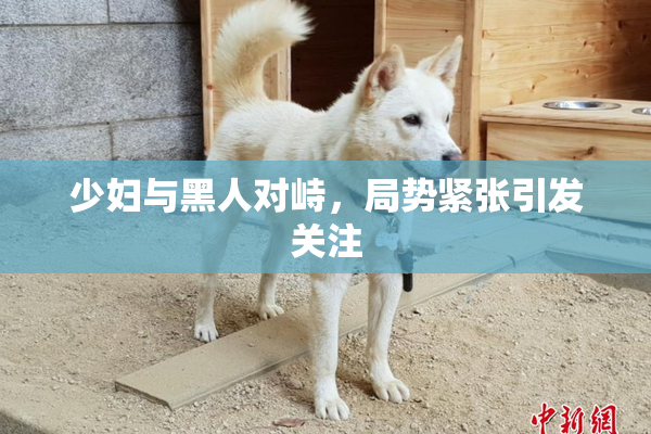 少妇与黑人对峙，局势紧张引发关注