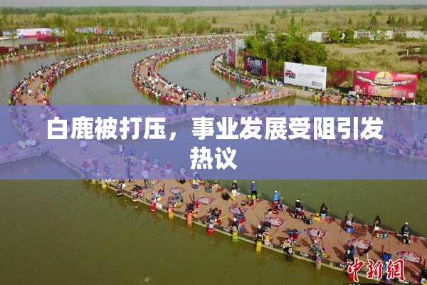 白鹿被打压，事业发展受阻引发热议