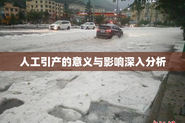 人工引产的意义与影响深入分析