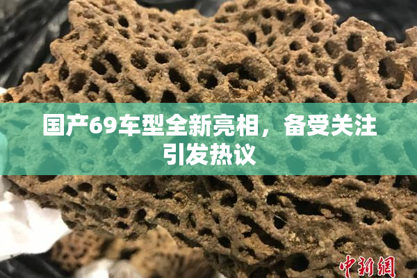 国产69车型全新亮相，备受关注引发热议