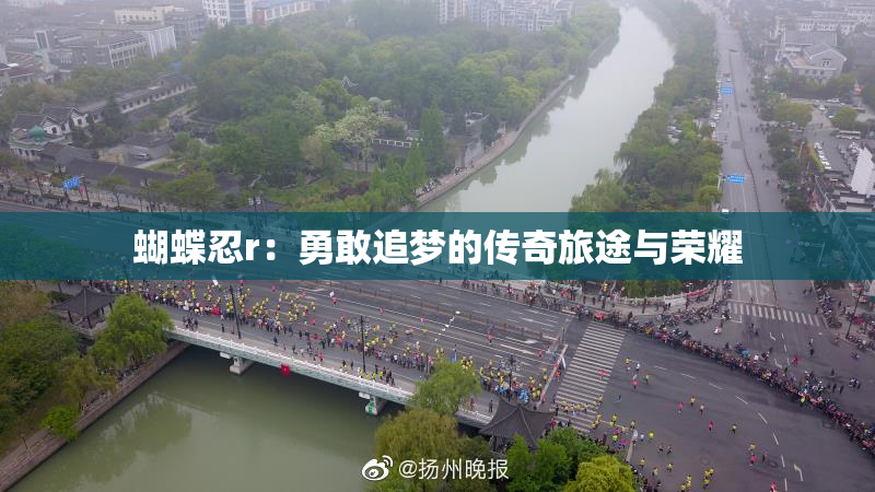 蝴蝶忍r：勇敢追梦的传奇旅途与荣耀