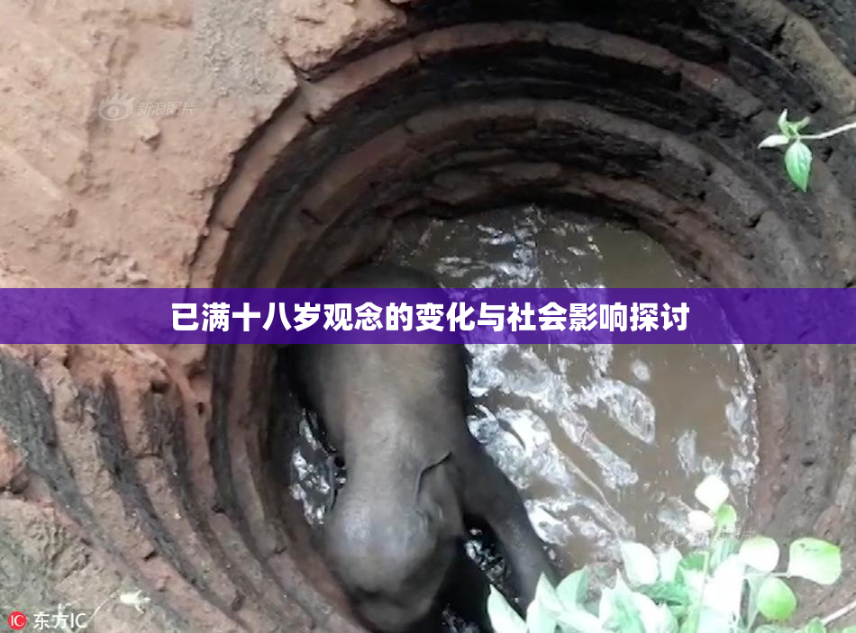 已满十八岁观念的变化与社会影响探讨