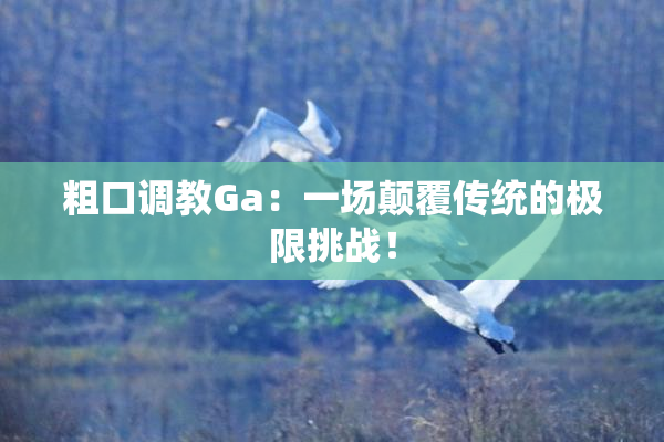 粗口调教Ga：一场颠覆传统的极限挑战！