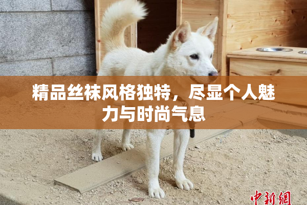 精品丝袜风格独特，尽显个人魅力与时尚气息