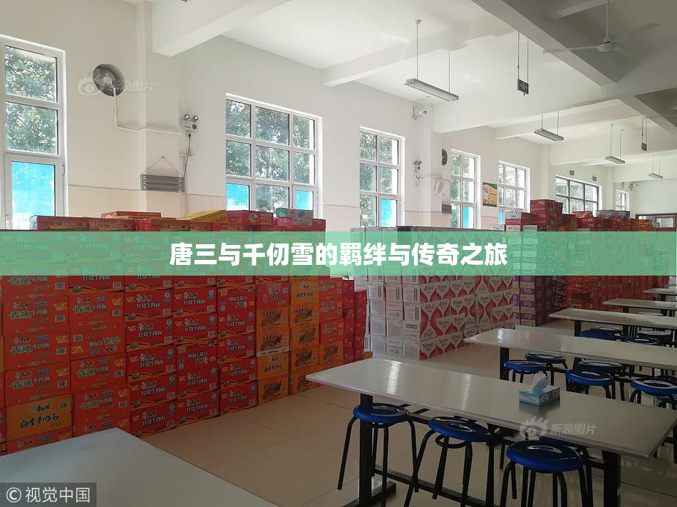 唐三与千仞雪的羁绊与传奇之旅