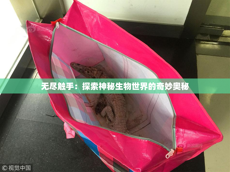 无尽触手：探索神秘生物世界的奇妙奥秘