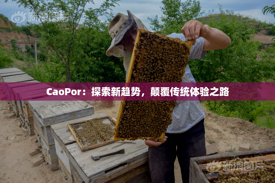 CaoPor：探索新趋势，颠覆传统体验之路