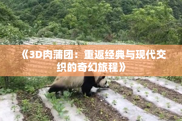 《3D肉蒲团：重返经典与现代交织的奇幻旅程》