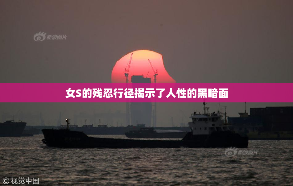 女S的残忍行径揭示了人性的黑暗面