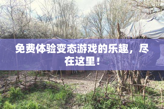 免费体验变态游戏的乐趣，尽在这里！