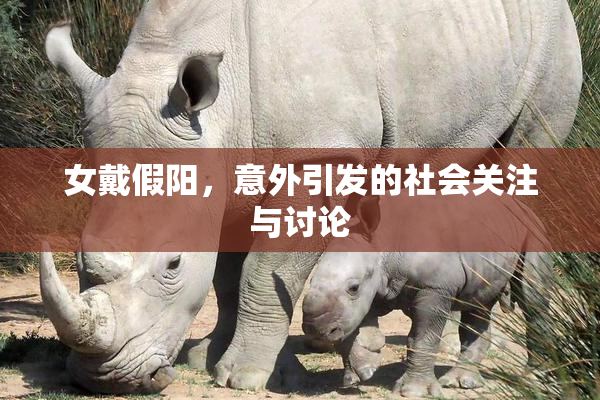 女戴假阳，意外引发的社会关注与讨论