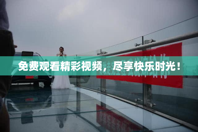 免费观看精彩视频，尽享快乐时光！