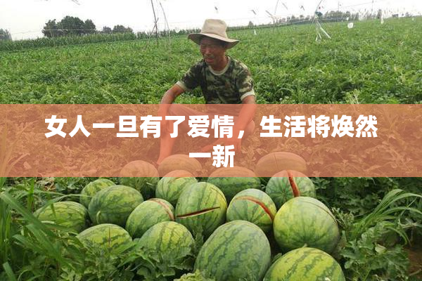 女人一旦有了爱情，生活将焕然一新