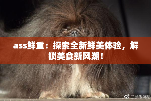 ass鲜重：探索全新鲜美体验，解锁美食新风潮！