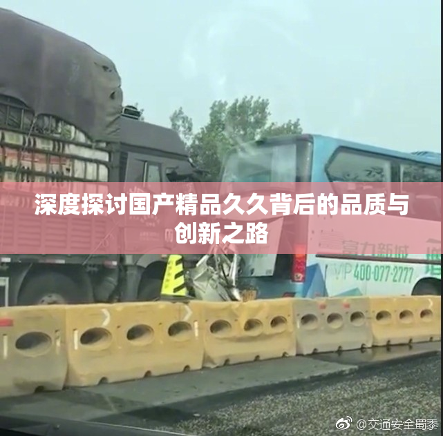 深度探讨国产精品久久背后的品质与创新之路