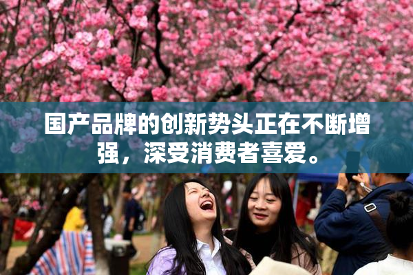 国产品牌的创新势头正在不断增强，深受消费者喜爱。