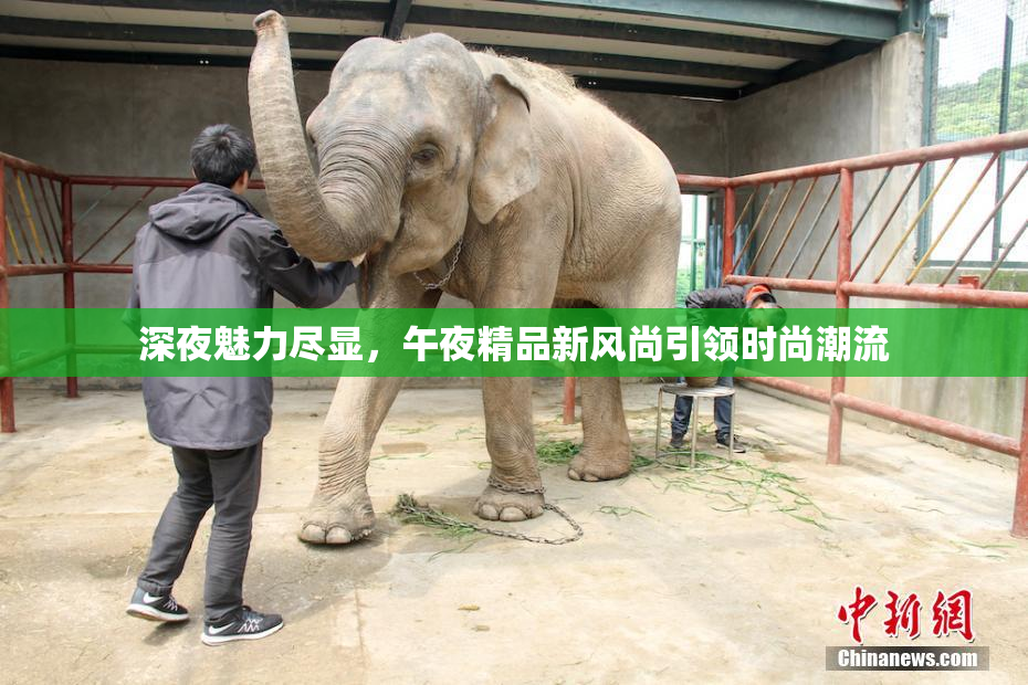 深夜魅力尽显，午夜精品新风尚引领时尚潮流