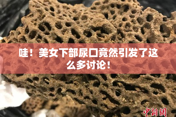 哇！美女下部尿囗竟然引发了这么多讨论！