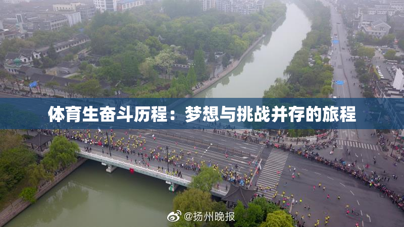 体育生奋斗历程：梦想与挑战并存的旅程