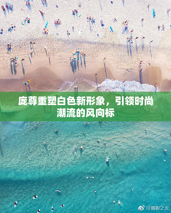 庞尊重塑白色新形象，引领时尚潮流的风向标