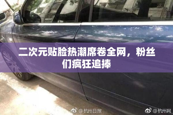 二次元贴脸热潮席卷全网，粉丝们疯狂追捧