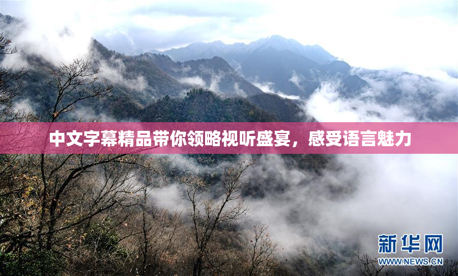 中文字幕精品带你领略视听盛宴，感受语言魅力
