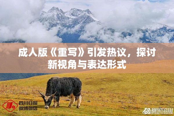 成人版《重写》引发热议，探讨新视角与表达形式
