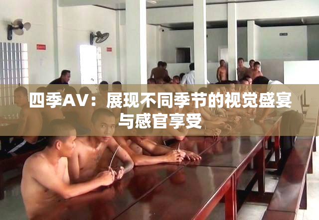 四季AV：展现不同季节的视觉盛宴与感官享受