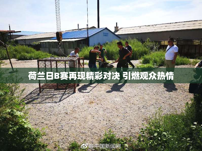 荷兰日B赛再现精彩对决 引燃观众热情