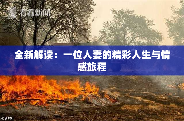 全新解读：一位人妻的精彩人生与情感旅程