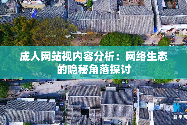 成人网站视内容分析：网络生态的隐秘角落探讨