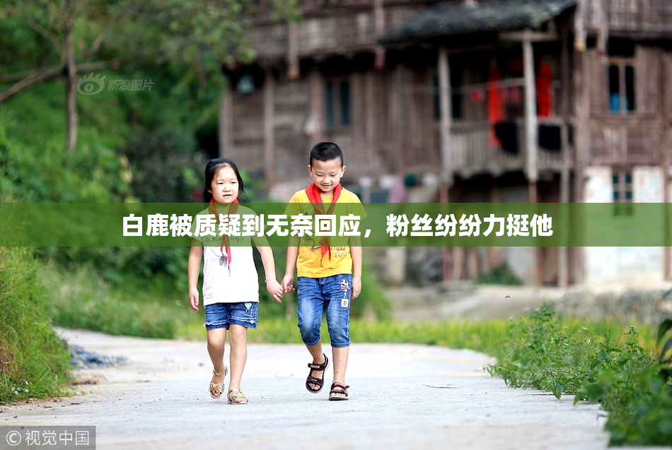 白鹿被质疑到无奈回应，粉丝纷纷力挺他