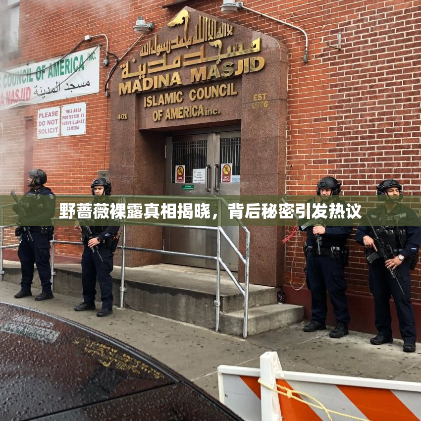野蔷薇裸露真相揭晓，背后秘密引发热议