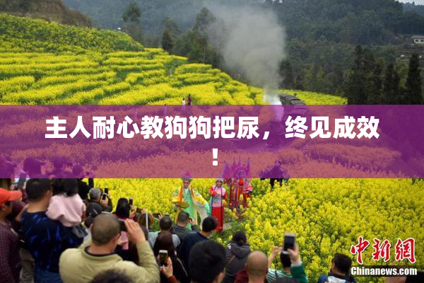 主人耐心教狗狗把尿，终见成效！