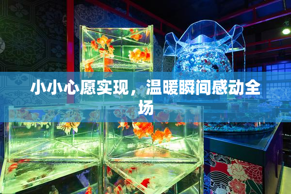 小小心愿实现，温暖瞬间感动全场
