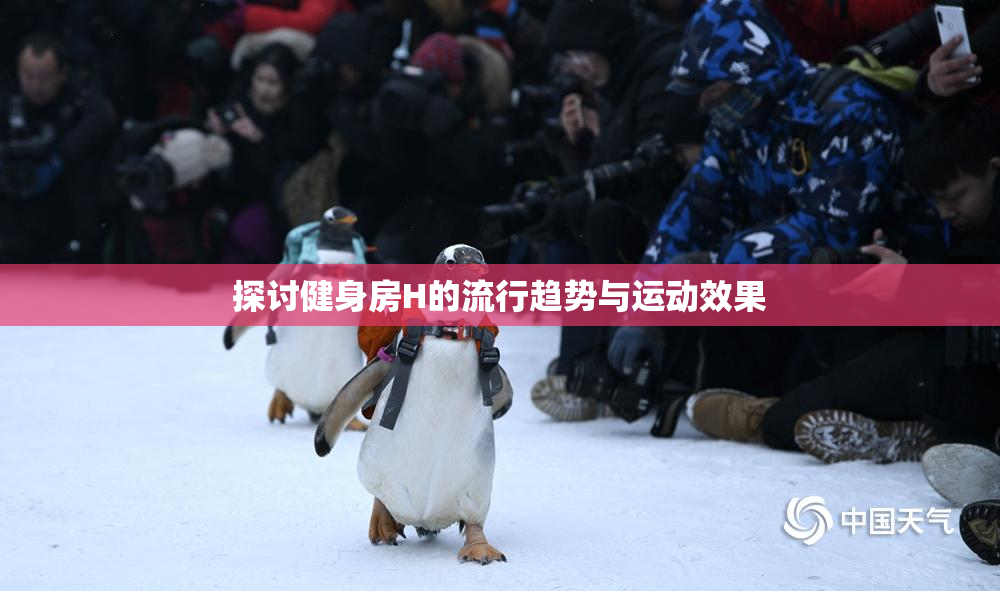 探讨健身房H的流行趋势与运动效果