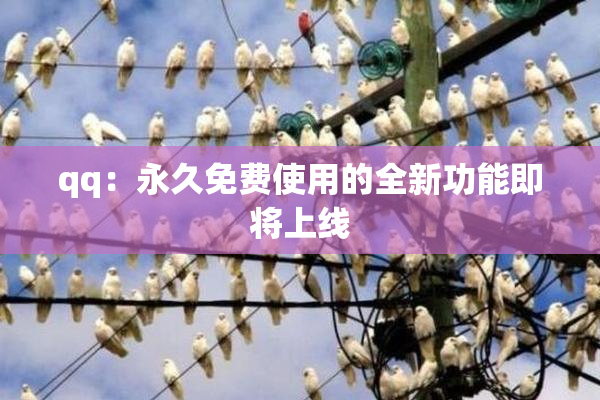 qq：永久免费使用的全新功能即将上线
