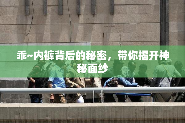 乖~内裤背后的秘密，带你揭开神秘面纱