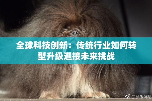 全球科技创新：传统行业如何转型升级迎接未来挑战