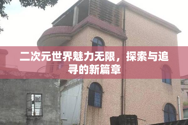 二次元世界魅力无限，探索与追寻的新篇章