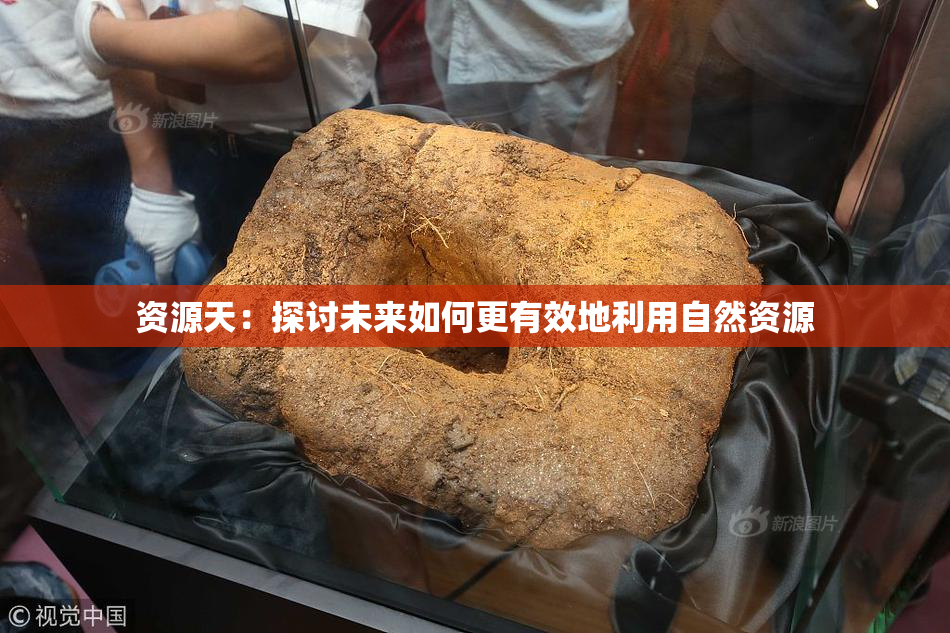 资源天：探讨未来如何更有效地利用自然资源