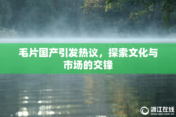 毛片国产引发热议，探索文化与市场的交锋