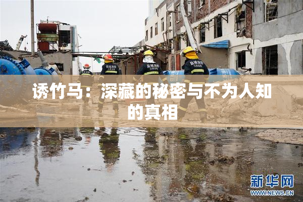 诱竹马：深藏的秘密与不为人知的真相