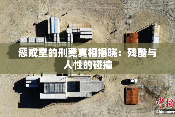 惩戒室的刑凳真相揭晓：残酷与人性的碰撞