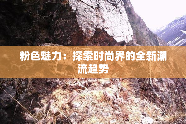粉色魅力：探索时尚界的全新潮流趋势